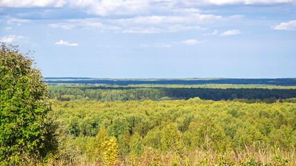 Fototapeta premium landscape, view of the forest valley