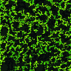 Sports camouflage for outdoor activities. Textile.