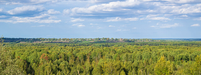 landscape, view of the forest valley