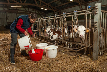 Agricultrice nourrissant des veaux avec du lait. Préparation des seaux © S. Leitenberger