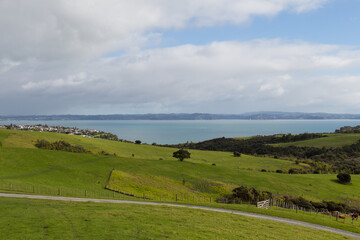 Picturesque landscape with green grass hills and blue sea on background, Shakespear Regional Park, New Zealand.