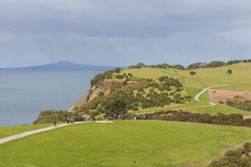 Fototapeta na wymiar People walking on a trail at Shakespear Regional Park, New Zealand.