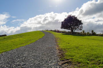 Gravel path up a green hill with sunlight and clouds on background, New Zealand.