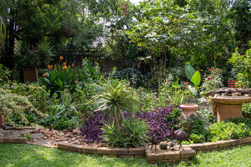 A summer garden setting in urban South Africa