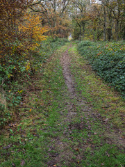 chemin de for&ecirc;t &agrave; l'automne &agrave; Verneuil sur Seine en France