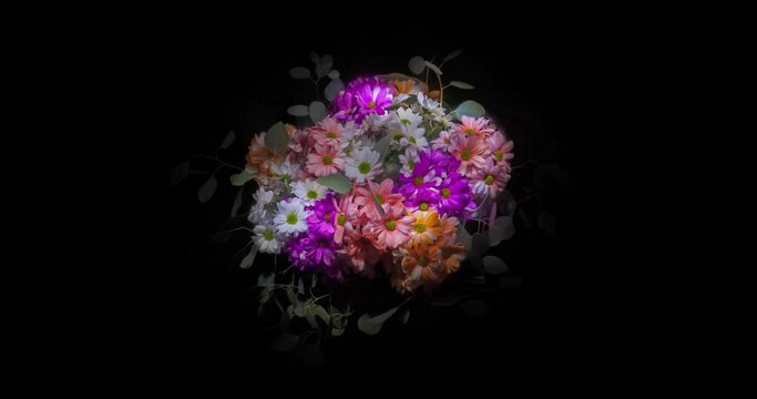 mother's day light painting time lapse of flowers on black 