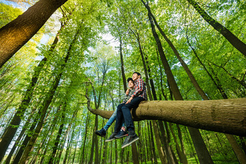 A boy and a girl in an embrace sit on a large sloping tree trunk in the forest on a sunny summer day. Wide angle shooting.