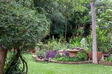 Fototapeta premium A summer garden setting in urban South Africa