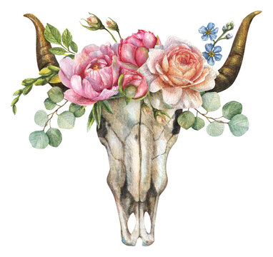 Watercolor isolated illustration of a bull skull with peony flowers, roses, eucalyptus leaves, buds on a white background