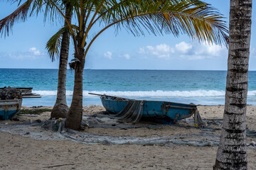 tropical landscape with sandy beach boat and palm trees in Dominican Republic 