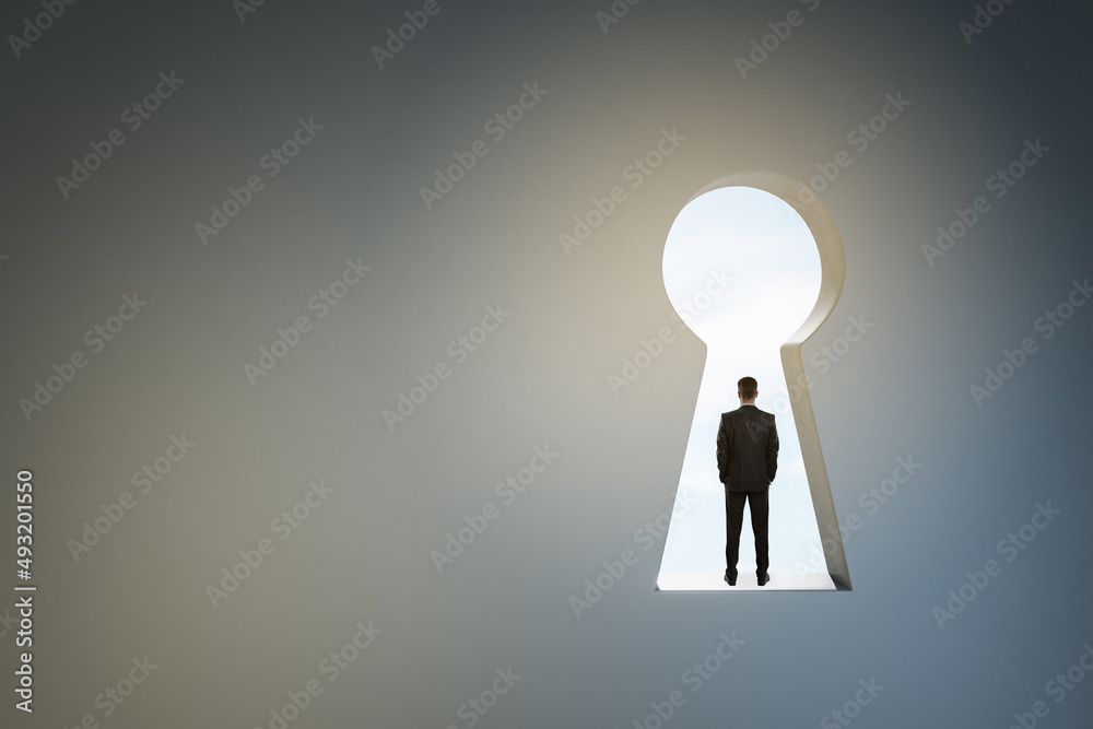 Poster back view of businessman standing in abstract key hole opening in concrete wall with mock up place. 