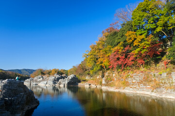 Obraz premium 埼玉県 秋の長瀞渓谷