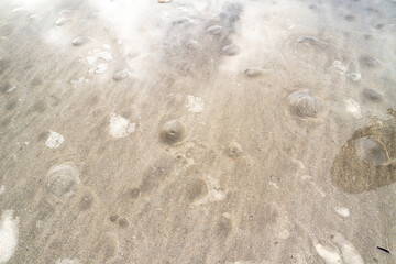 Bubbles in the sand showing that the tide is coming in