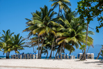 Fototapeta na wymiar tropical landscape with sandy beach boat and palm trees in Dominican Republic 