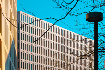 Pattern of windows of office buildings and silhouettes of branches and a street lamp.