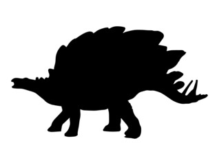 Stegosaurus Dinosaur on white background .