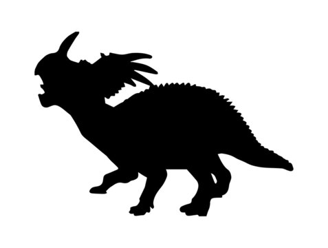 Styracosauru  , dinosaur on isolated background .