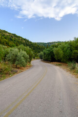 Fototapeta na wymiar Countryside road in Greece with olive trees and hills.