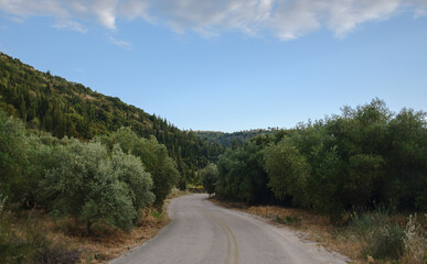 Naklejka premium Countryside road in Greece with olive trees and hills.