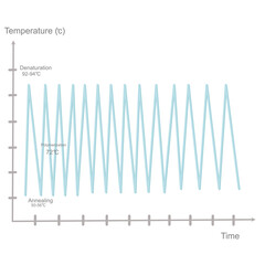 The correlation between temperature and time of Real-time PCR or quantitative PCR steps: Denaturation, Annealing and Polymerization