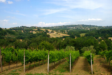 Fototapeta na wymiar Country landscape in Benevento province, Campania, Italy, at summer
