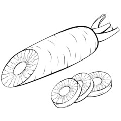 Half and sliced carrot. Vector illustrations in hand drawn sketch doodle style. Line art organic vegetable isolated on white. Element for coloring book, design, print.