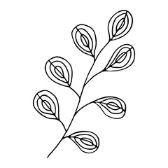 Hand drawn vector branch. Herb doodle isolated on white background. Botanical illustration for card, print, web, design, decor, logo.