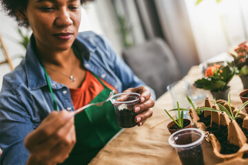 Woman transplanting flowers at home.