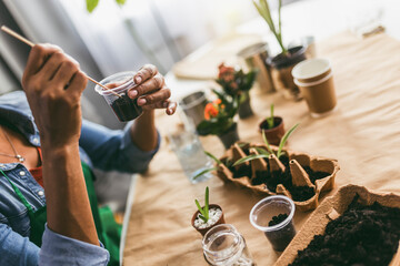 Woman transplanting flowers at home.