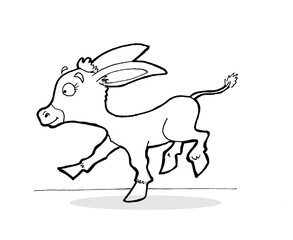 Cute Little Donkey
