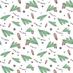 Seamless pattern with fir branches and pine cones on a white background, hand drawn in watercolor