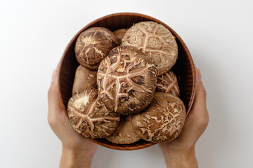 Shiitake mushrooms on a white background
