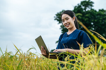 Young smart farmer woman use laptop in rice field