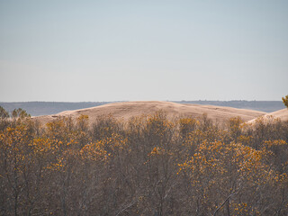Trees and Sand Dunes in Little Sahara State Park in Waynoka, USA