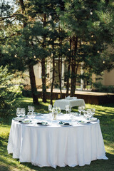 Preparing for an open-air party. Decorated served tables await guests. Decoration Details