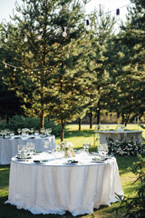 Preparing for an open-air party. Decorated served tables await guests. Decoration Details