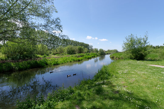 Amboise River In The Bay Of Somme