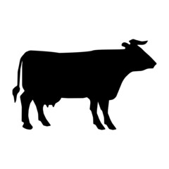 Vector icon cow isolated on white background. Vector illustration.
