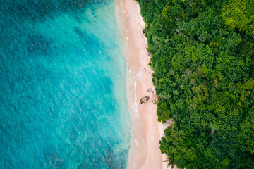 Fototapeta na wymiar Tropical Jungle Beach in Sri Lanka. Aerial view of Exotic Costline and Rainforest. Paradise Beach.