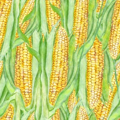 Seamless watercolor background with sweet corn painting