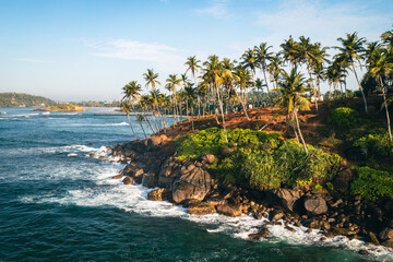 Coconut tree hill in Mirissa Beach. Sri Lanka.