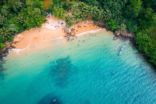 Tropical Jungle Beach in Sri Lanka. Aerial view of Exotic Costline and Rainforest. Paradise Beach.