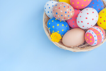 Colorful eggs in a basket with yellow Chrysanthemum flowers on blue background