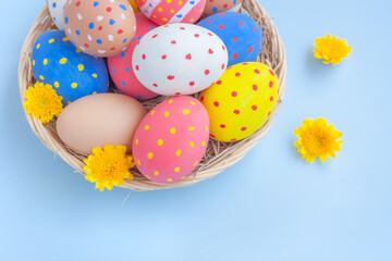 Colorful eggs in a basket with yellow Chrysanthemum flowers on blue background