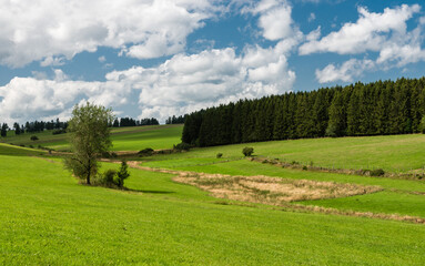 Fototapeta na wymiar Nature landscapes with green hills at woods during summer at the East Belgian Countryside around Bullingen, Belgium