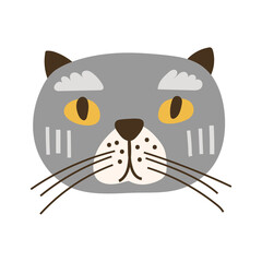Cat Face Portrait - Scottish Fold. Vector illustration.