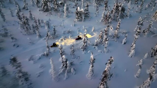Aerial view towards snowmobiles with lights on driving in middle of arctic forest, polar night in Lapland - approaching, drone shot