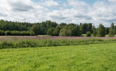 View over green meadows and Agricultural fields along the Swedish countryside