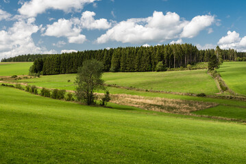 Fototapeta na wymiar Nature landscapes with green hills at woods during summer at the East Belgian Countryside around Bullingen, Belgium