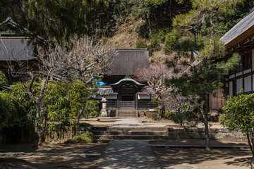 Fototapeta na wymiar Japanese old temple in early spring